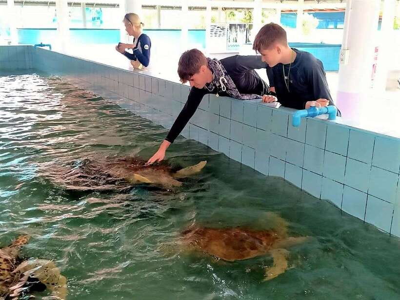 Khaolak: Elephant Interaction in Sanctuary With Bamboo Raft - Discovering the Sea Turtle Conservation Center