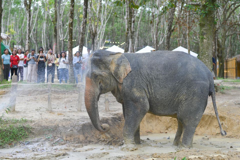 Khaolak Ethical Elephant Sanctuary Overnight Program - Accommodation and Facilities