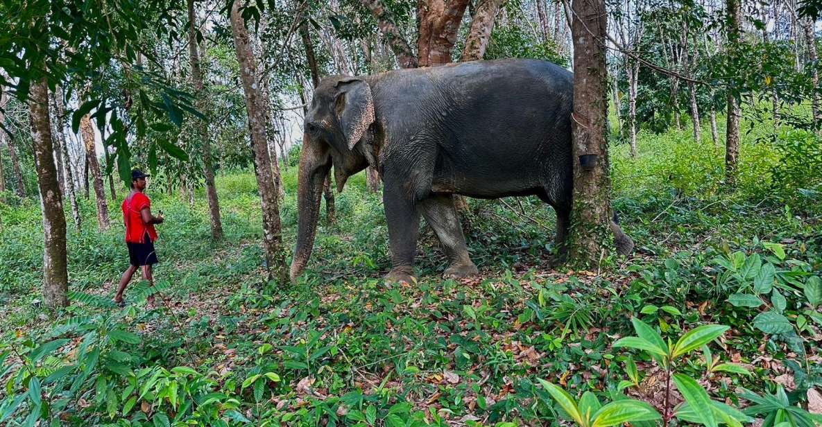 Khaolak Hightlight Tour With Eco Guide Adventure - Itinerary Overview