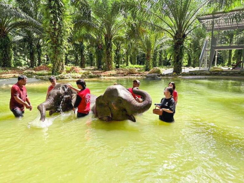 KhaoLak :White Water Rafting ,Monkey Cave, Elephant Bathing - Key Points
