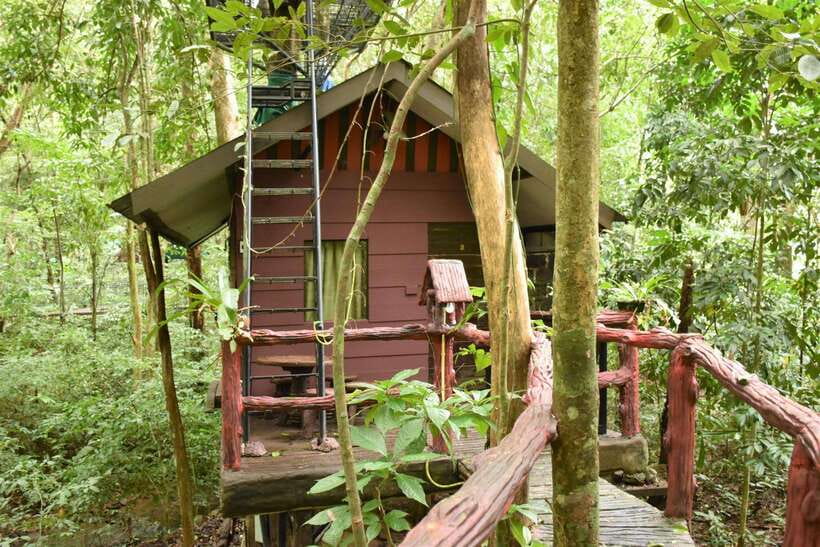 Khaosok National Park: 4-Day and 3-Night Package Trip - Overnight Trip to Cheow Lan Dam