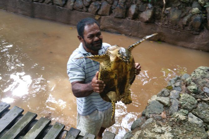 Kiara Package tour - FAQ