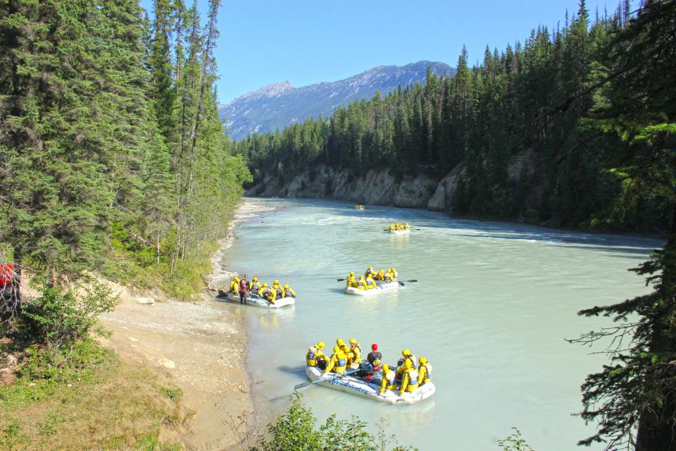Kicking Horse River: Half-Day Intro to Whitewater Rafting - Requirements & Restrictions