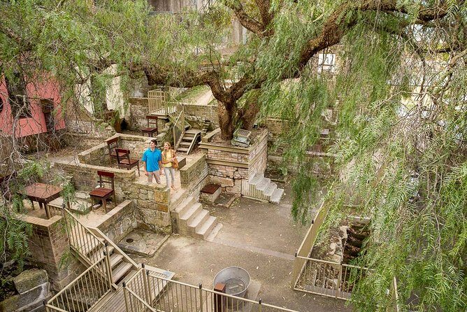 Kickstart Sydney Half-Day Private Tour - Practical Considerations