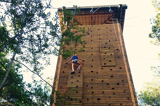 Kids Ziplining and Climbing Experience - Authentic Feedback from Users