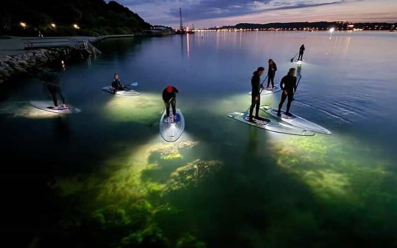 Kiel/Plön: glassSUP - guided night tour. Dive in without getting wet. - Practical Considerations and Tips