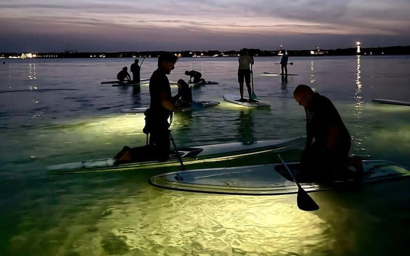 Kiel/Plön: glassSUP - guided night tour. Dive in without getting wet. - The Sum Up