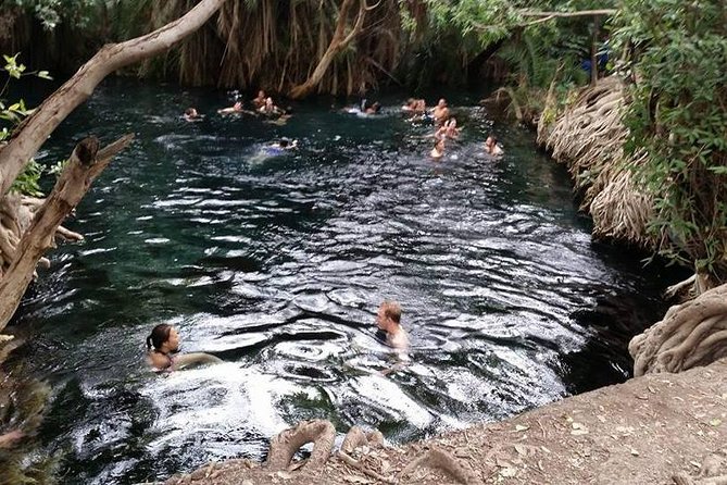 Kikuletwa (Chemka) Hot Springs Day Tour - Exploring the Natural Wonders