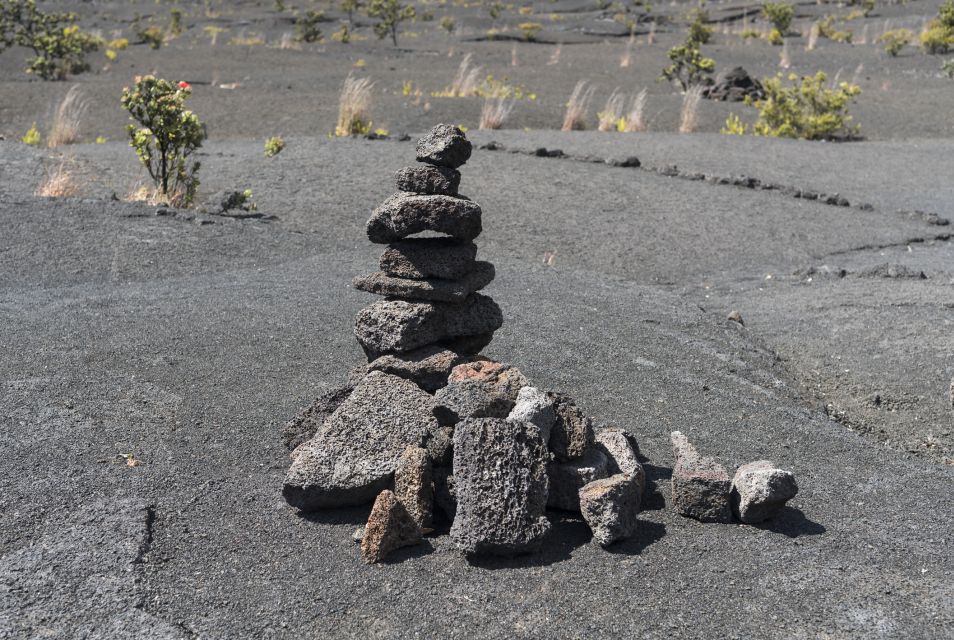 Kilauea: Volcanoes National Park Guided Hike - Covid-19 Safety Measures
