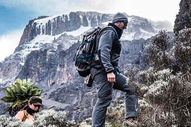 Kilimanjaro Climb - 7 Days Machame Route - Assessing the Experience