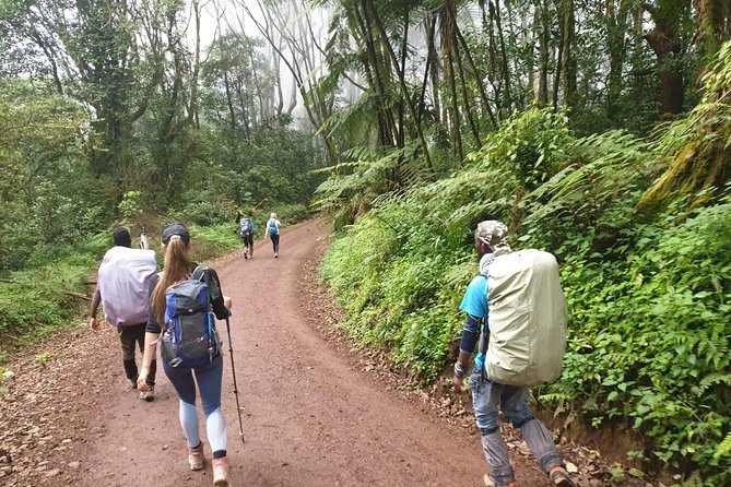 Kilimanjaro Climbing 5 Days Marangu Route - Ethical Porters and Guides