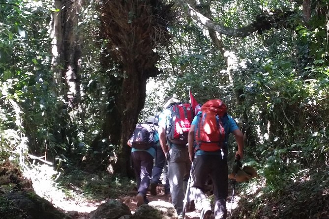 Kilimanjaro Marangu Route Day Tour - Inclusions