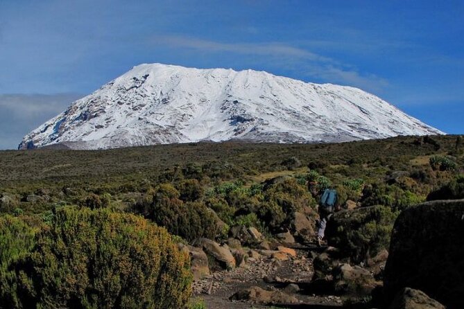 Kilimanjaro-Trekking Lemosho Route 8 Days / 7 Nights - Tips for Preparation