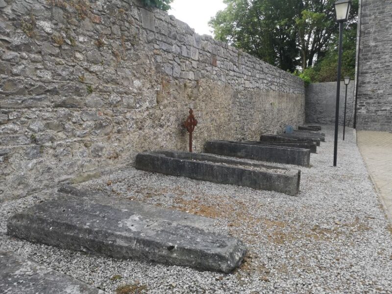 Kilkenny: Historical Highlights Walking Tour - Good To Know