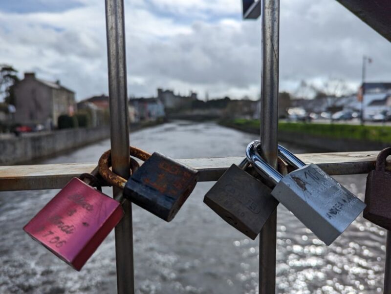 Kilkenny: Historical Highlights Walking Tour - Experience With a Licensed Guide
