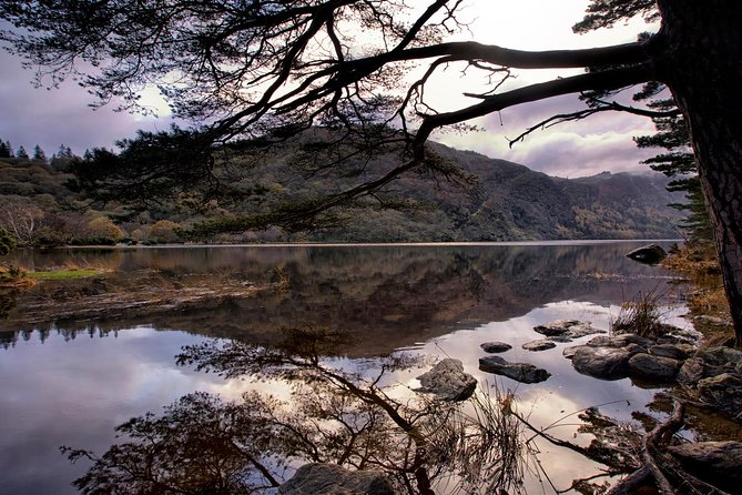 Kilkenny, Wicklow Mountains, Glendalough, Sheep Dog Trials, Day Trip From Dublin - Kilkenny Castle Visit