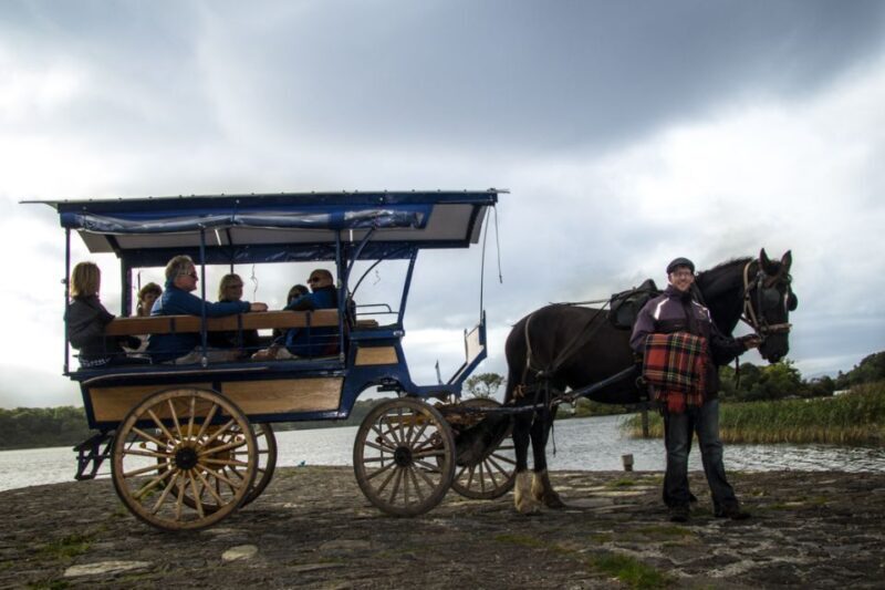 Killarney: 1-Hour Jaunting Car Horse and Carriage Tour - Introduction