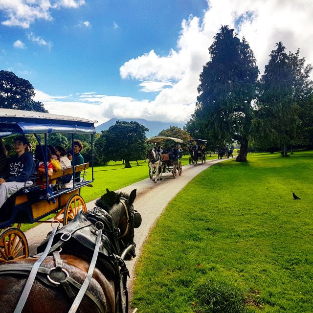 Killarney: 1-Hour Jaunting Car Horse and Carriage Tour - Practical Details and Tips