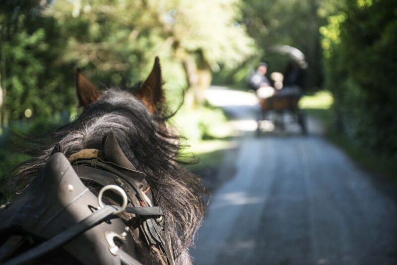 Killarney: 1-Hour Jaunting Car Horse and Carriage Tour - FAQ