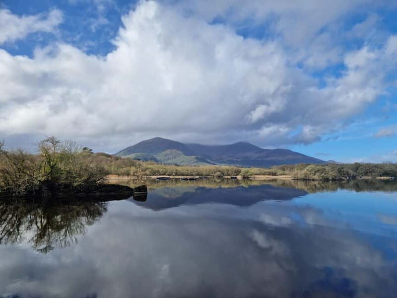 Killarney: Boat Tour to Innisfallen Island, Killarney Lakes - Who Will Love This Tour?