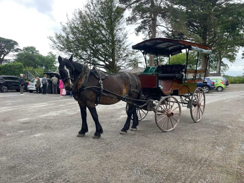 Killarney Carriage Tours National Park and Lakes - Pricing and Booking Details