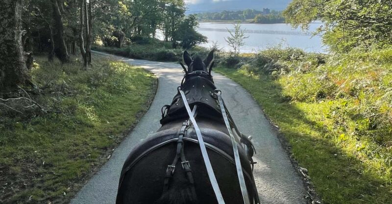 Killarney Carriage Tours National Park and Lakes - Scenic Itinerary Features