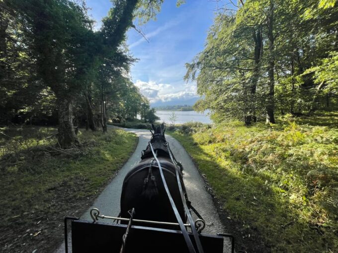 Killarney Carriage Tours National Park and Lakes - Tips for Your Visit