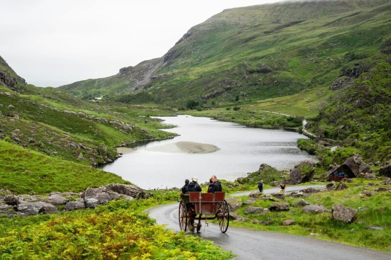 Killarney Highlights Walk  Castle Lake Carriage Ride - Introduction: What’s on Offer?
