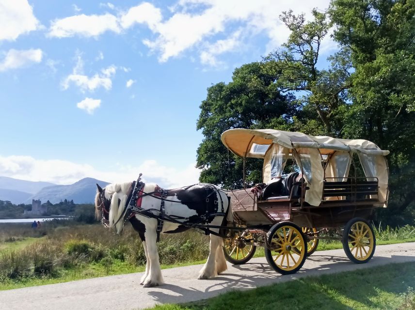 Killarney: Killarney National Park Private Tour - The Sum Up