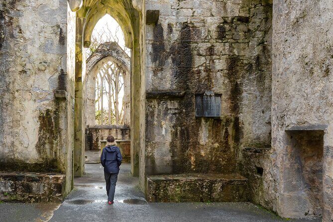 Killarney Luxury: Exclusive National Park Adventure - The Experience of a Guided Private Tour