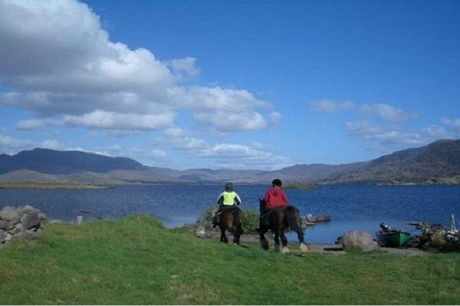 Killarney National Park Horseback Ride. Co Kerry. Guided. 1 hour. - Who Will Love This Experience?