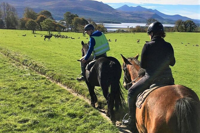Killarney National Park Horseback Ride. Co Kerry. Guided. 3 Hours. - Physical Fitness Considerations