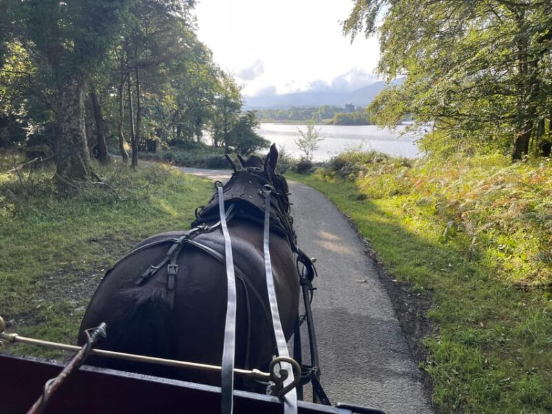 Killarney National Park Jaunting Car Tour - Itinerary Highlights