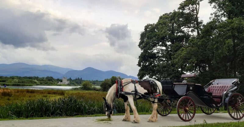 Killarney National Park Tour - Key Points