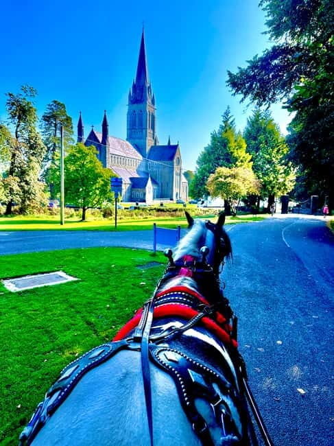 Killarney National Park Tour - Discovering Killarney’s Lakes and Mountains in Style