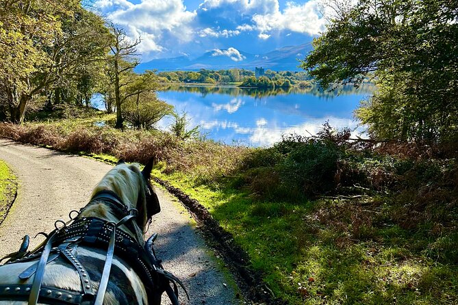 Killarney National Park Tour - Meeting and Pickup Locations