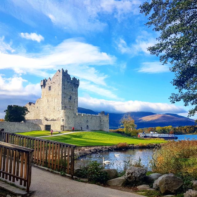 Killarney on Horse & Carriage: 1-Hour Jaunting Car Tour - Frequently Asked Questions