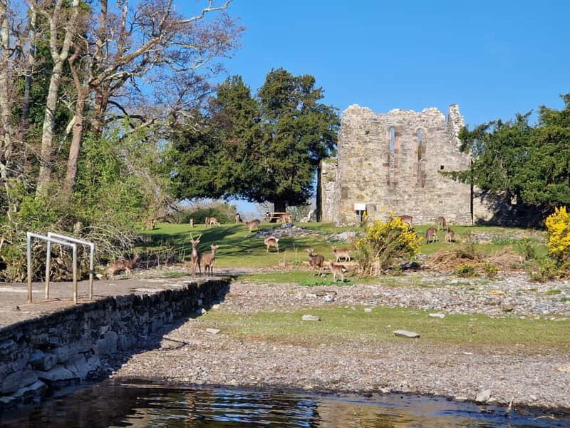 Killarney: Orienteering Boat Tour on the Lakes of Killarney - Additional Considerations