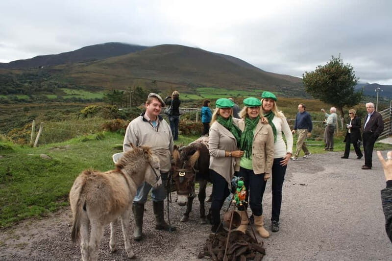 Killarney: Ring of Kerry Bus Tour - Key Points