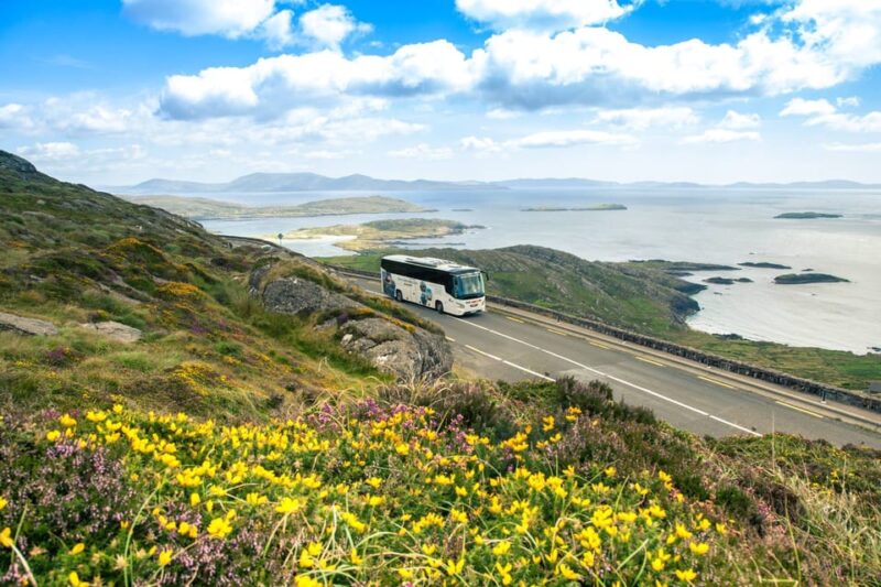 Killarney: Ring of Kerry Bus Tour - Scenic Stops Along the Route
