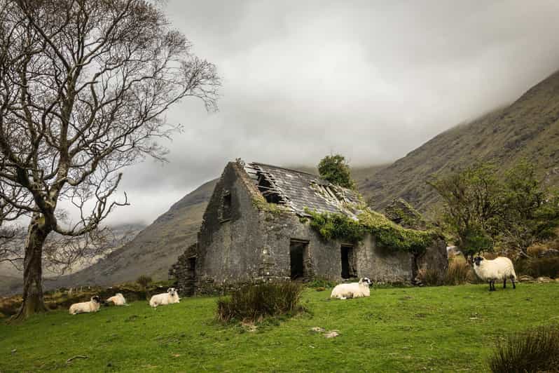 Killarney: The Ring of the Reeks - Backroads Rural Tour - Scenic Highlights of the Tour