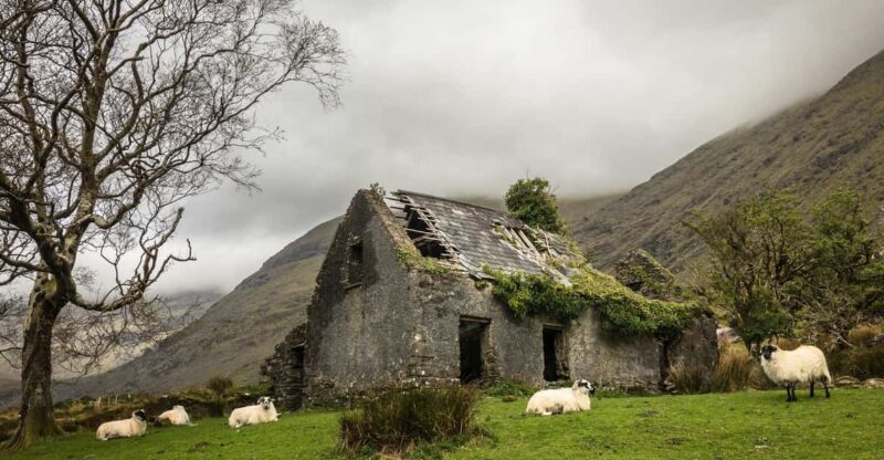 Killarney: The Ring of the Reeks - Backroads Rural Tour - Inclusions and Amenities