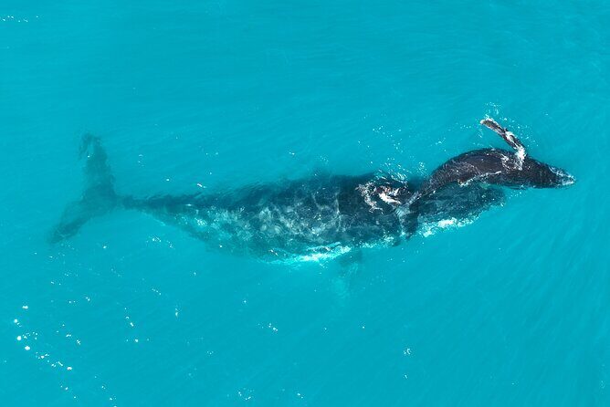 Kimberley Day Cruise Full Day Tour Departing Broome - Who Should Consider This Tour?