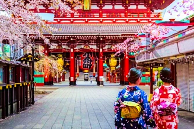 Kimono Tokyo Tour - Kimono Rental Experience
