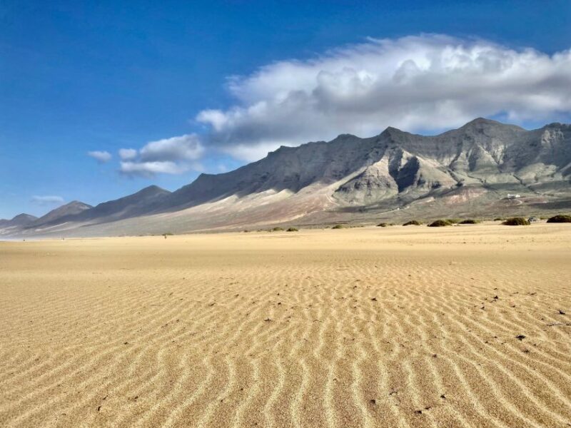 Kingdom Jandia: Cofete Beach & Roque Del Moro - Itinerary Highlights