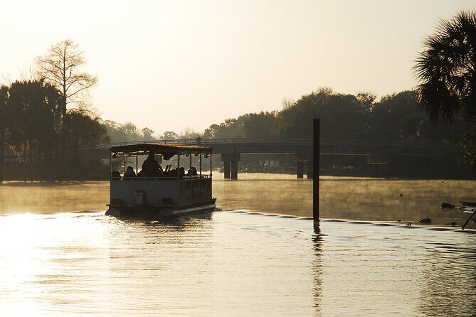 Kings Bay Crystal River Eco Cruise - Exploring the Kings Bay Crystal River Eco Cruise: A Calm Way to Experience Florida’s Wildlife