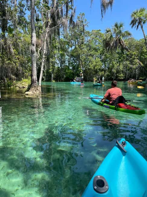 Kings Bay, Crystal River: Gentle Sunrise Manatee Kayak Tour - Key Points