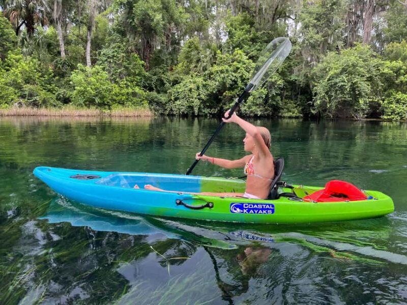 Kings Bay, Crystal River: Gentle Sunrise Manatee Kayak Tour - What to Expect During the Tour