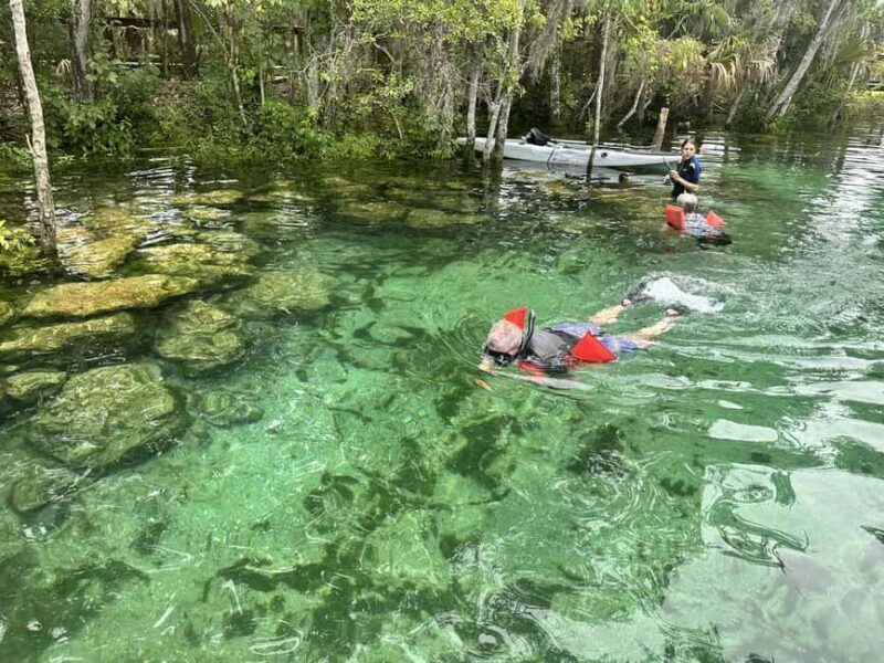 Kings Bay, Crystal River: Gentle Sunrise Manatee Kayak Tour - Who Will Love This Experience?