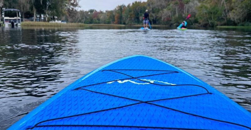 Kings Bay/Three Sisters: Self Guided Tour- ClearBottom Kayak - Frequently Asked Questions